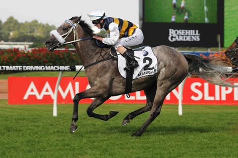 Bmw caulfield cup 2009 results