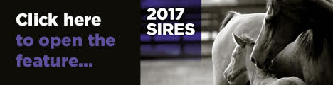 2017 Sires 2017 Sires